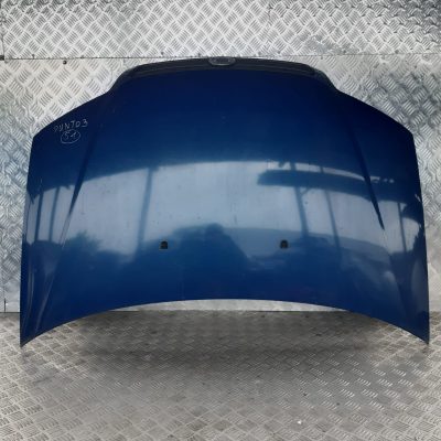 COFANO ANTERIORE FIAT PUNTO (03-07) (07-10)