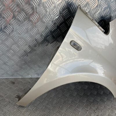 Parafango anteriore destro lancia musa